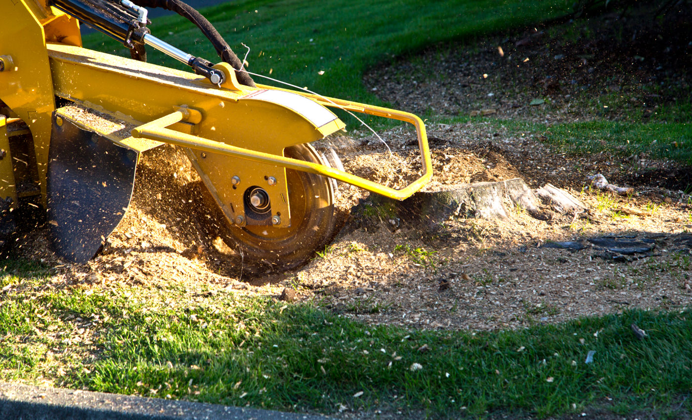 Stump and Tree Removal